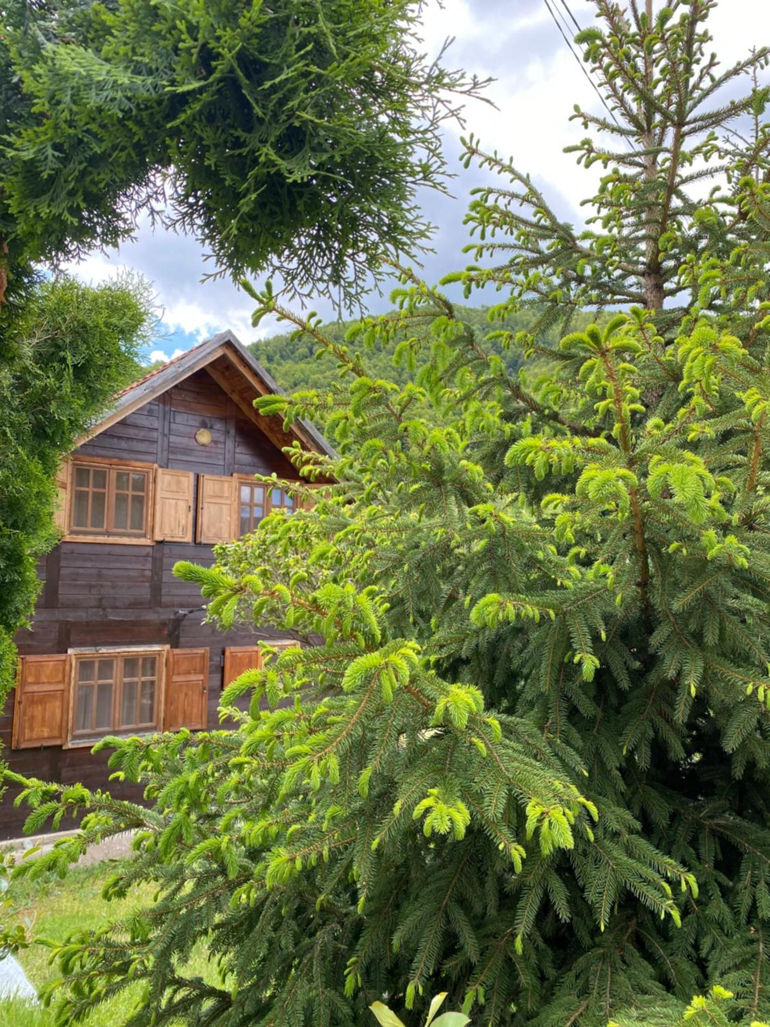 Aphrodite Hills Apartments-Stara Planina Crni Vrh Exterior photo
